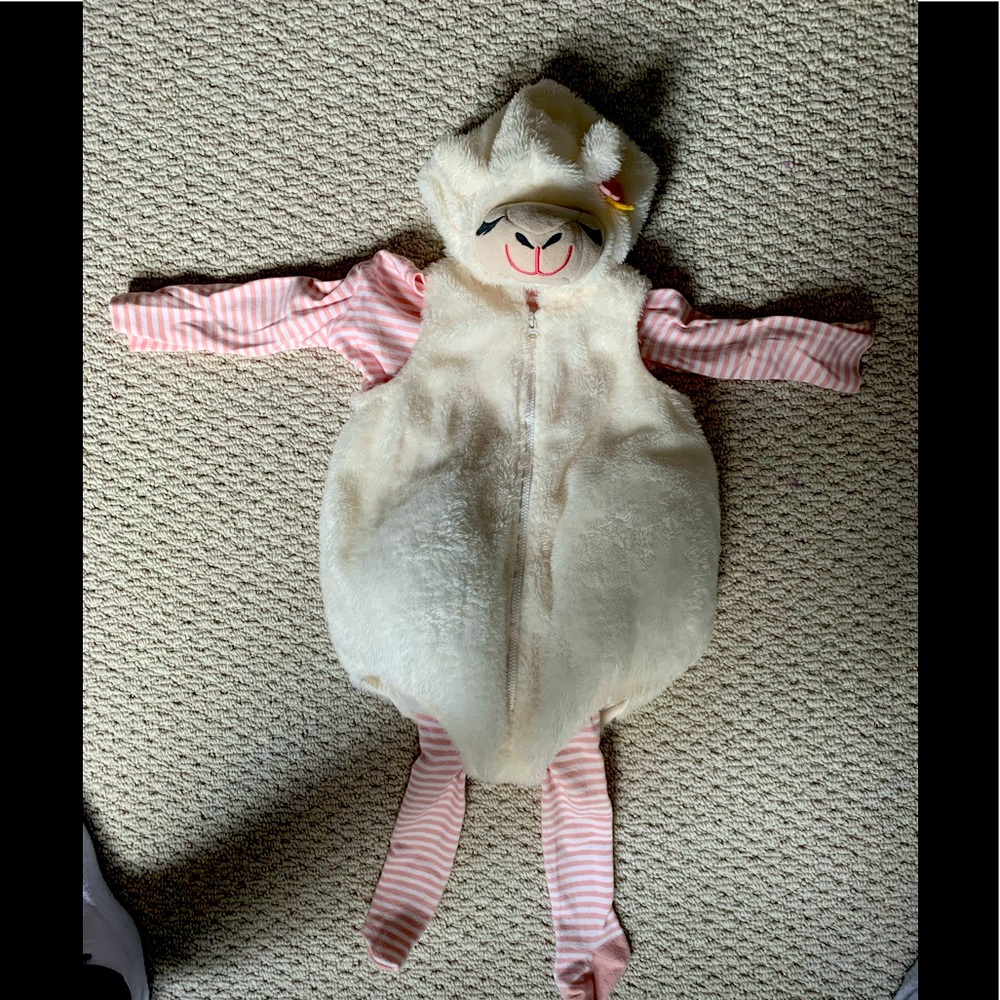 Baby llama costume. Includes top and leggings.